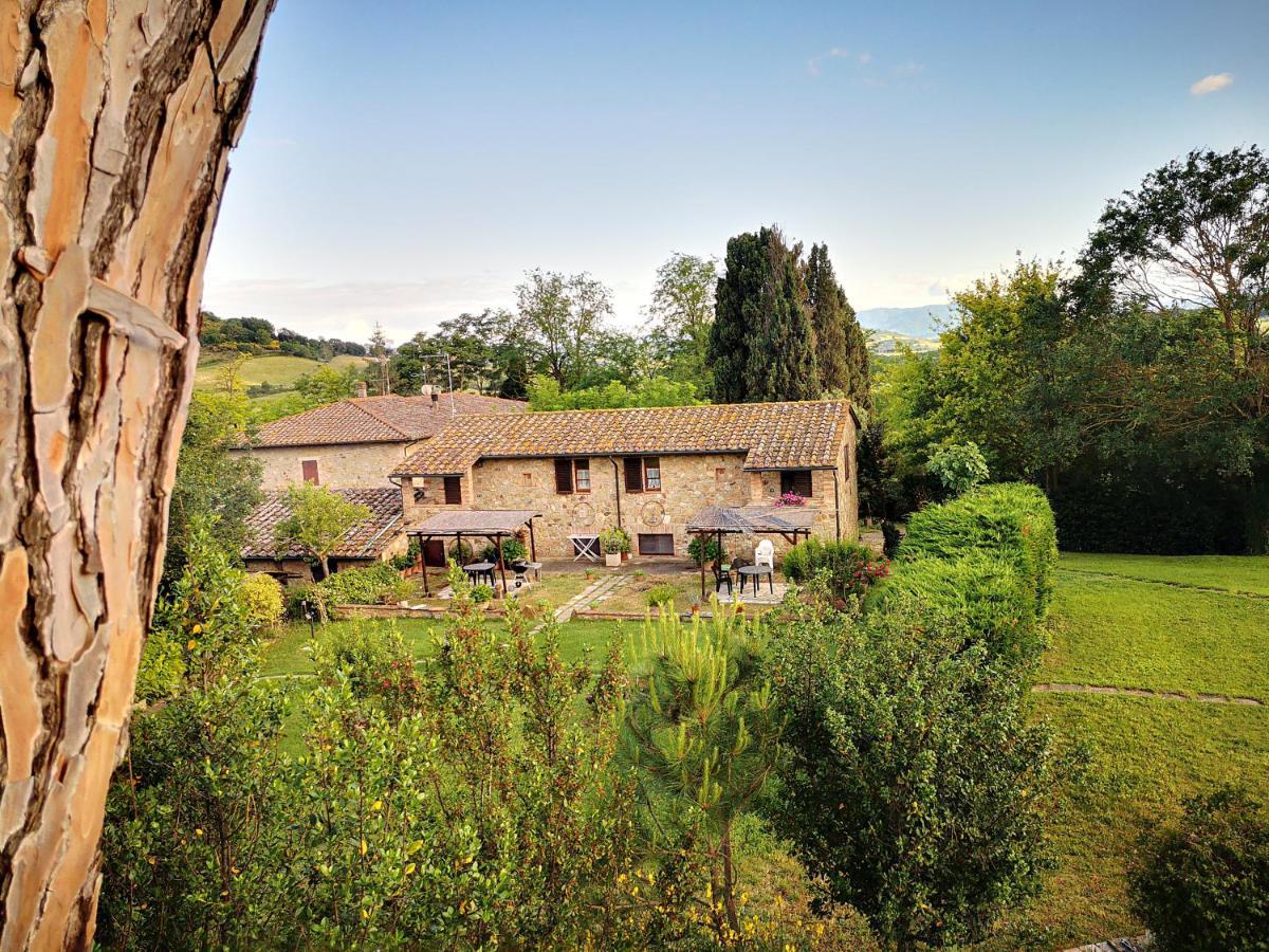 Agriturismo Grecinella Casole dʼElsa Kültér fotó