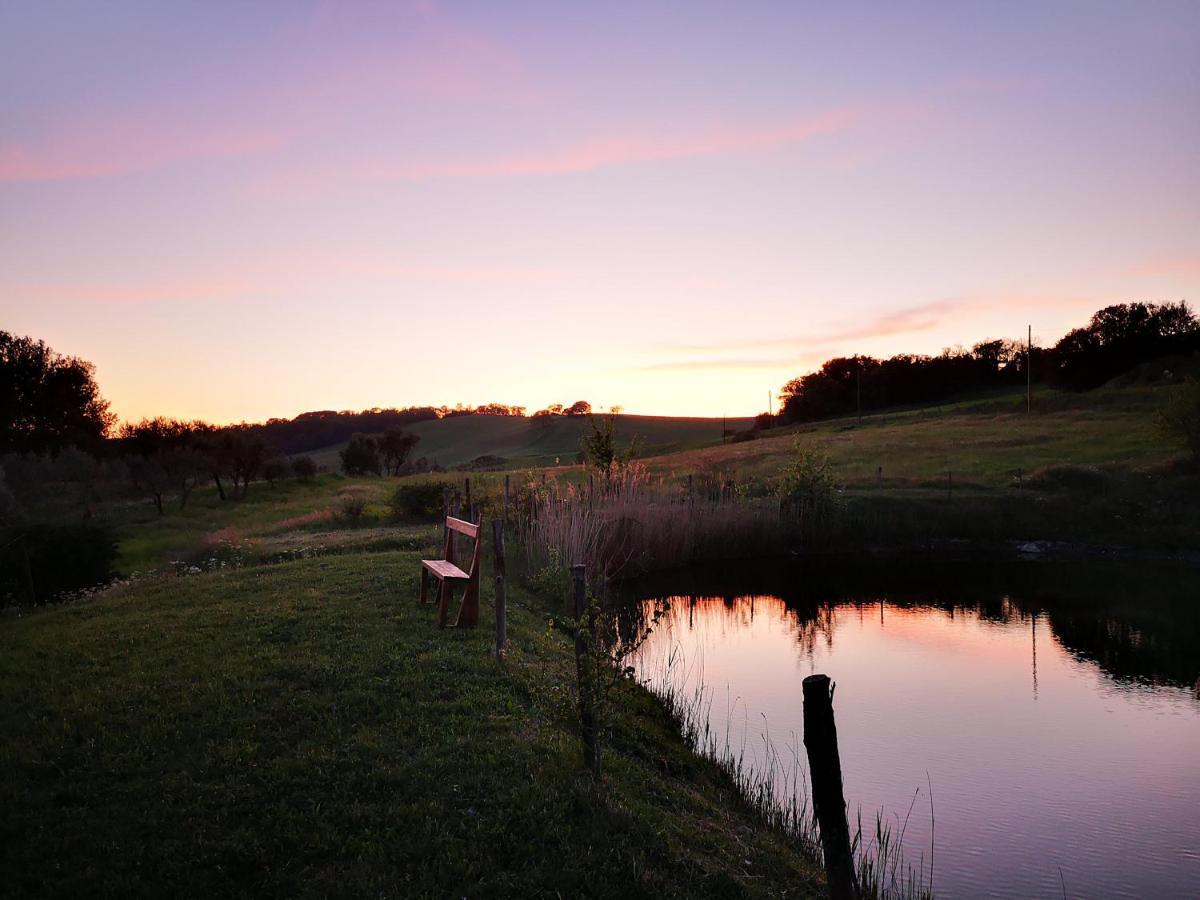 Agriturismo Grecinella Casole dʼElsa Kültér fotó
