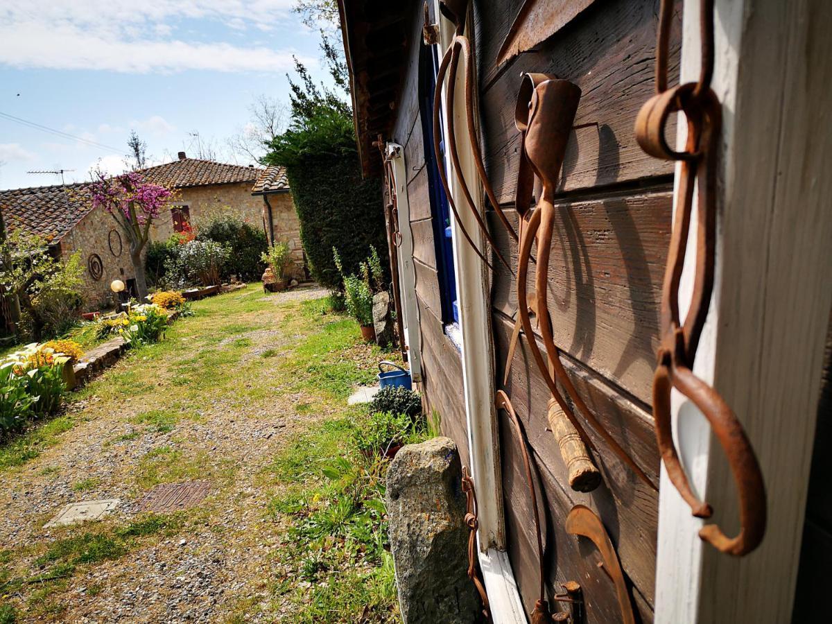 Agriturismo Grecinella Casole dʼElsa Kültér fotó